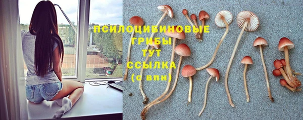 амфетамин Алексин